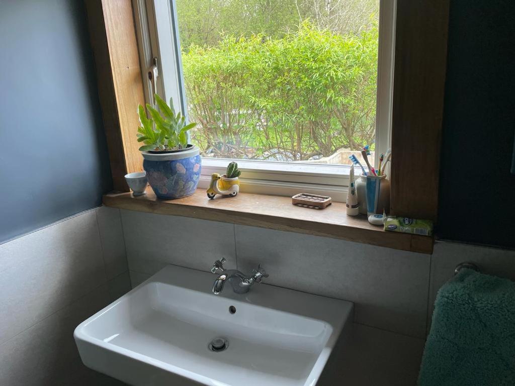 Shanti Ghar House Cork Eksteriør bilde